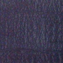 Holden Leather Blue Graphite Trim
